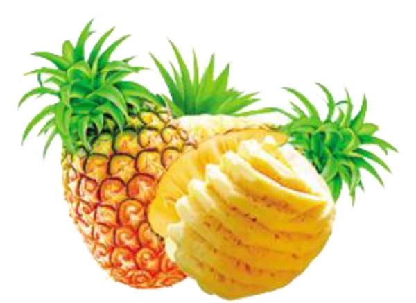 菠蘿素材
