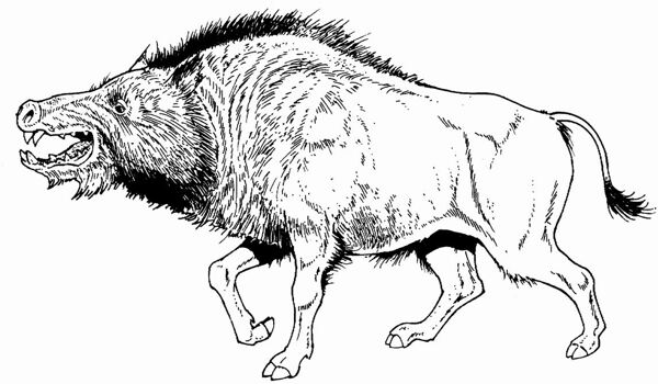 遠(yuǎn)古時(shí)代的動(dòng)物恐龍手繪畫動(dòng)物素描