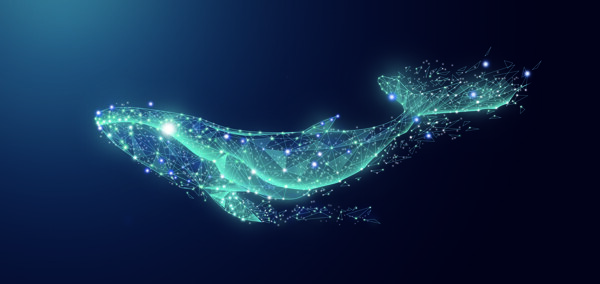 海洋科技鲸鱼背景