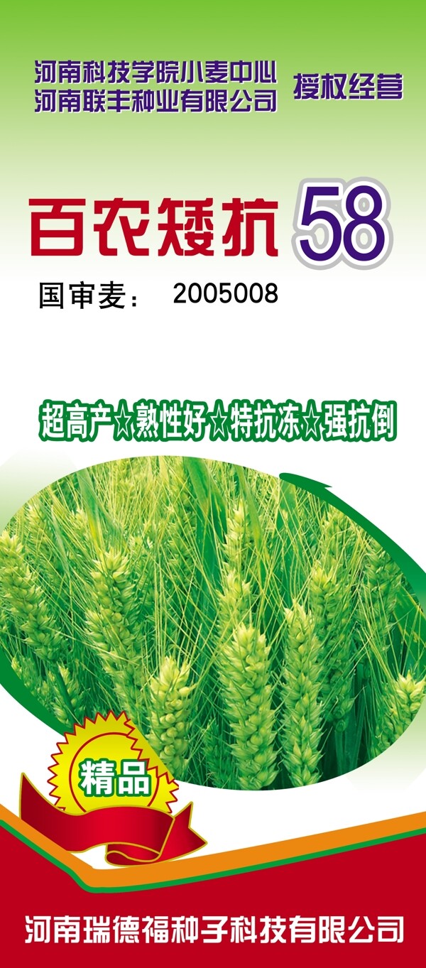 百農(nóng)矮抗58麥種