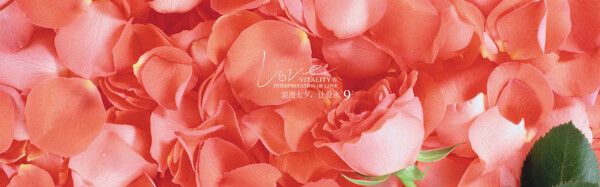 浪漫红色花瓣淘宝全屏banner背景