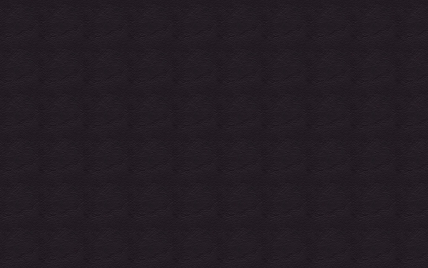 皮革毛皮25