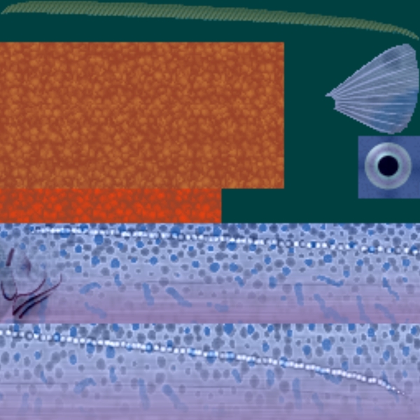 動(dòng)物魚類3d模型動(dòng)植物模型免費(fèi)下載魚類3d素材41