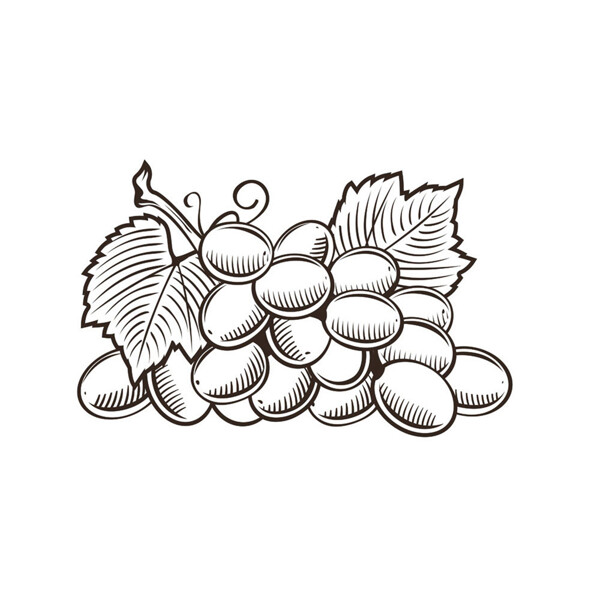 卡通葡萄漫畫(huà)圖片1