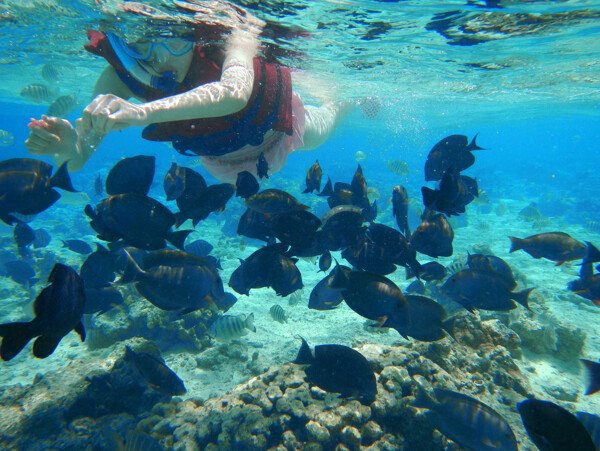塞班岛潜水
