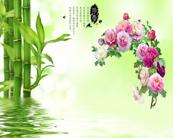 竹子牡丹電視背景