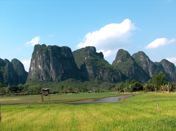 田園風(fēng)光