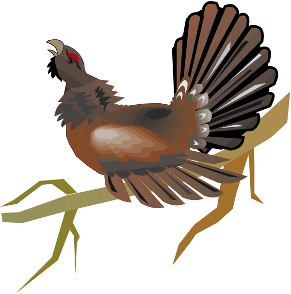 各種鳥類鳥動物矢量素材EPS格式0251