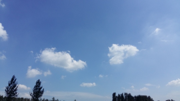 風景