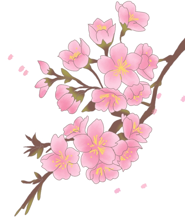 春季飘荡的樱花插画