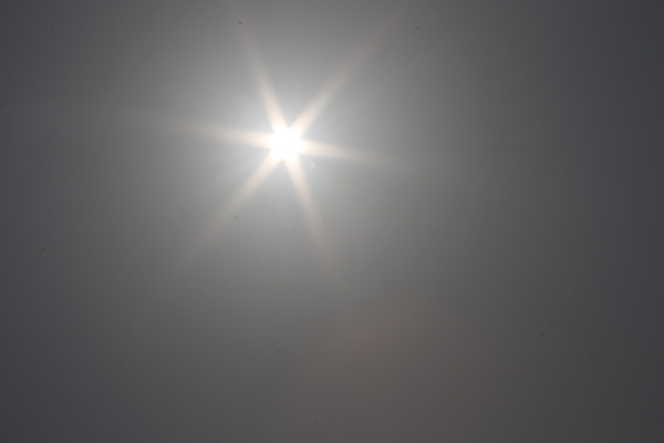 日光