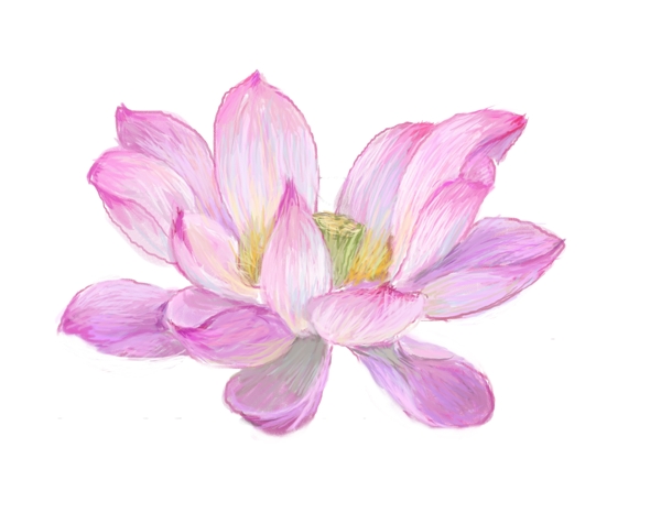 數(shù)碼印花圖案