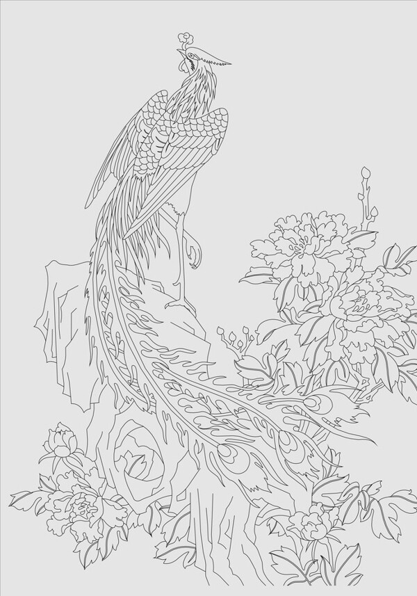 鳳凰圖片