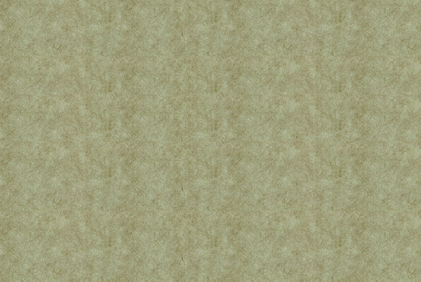 宣纸