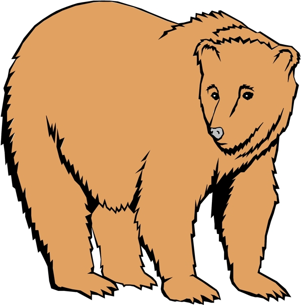野生動物61