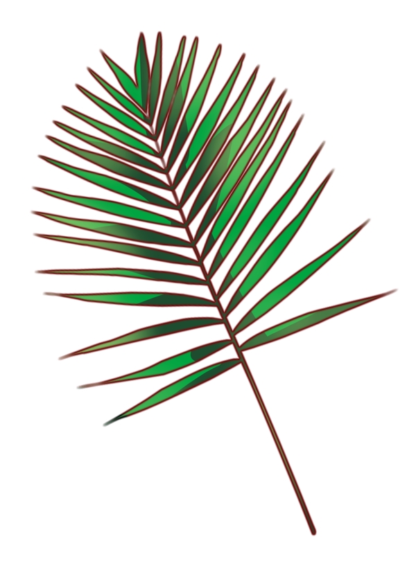 綠色針型植物