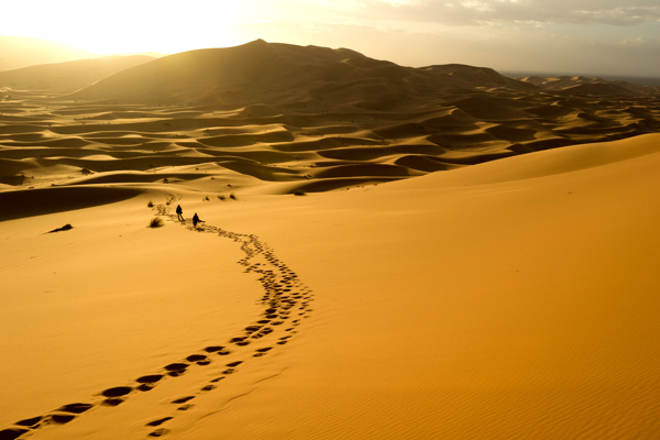 沙漠沙丘沙漠风景