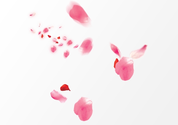 花瓣
