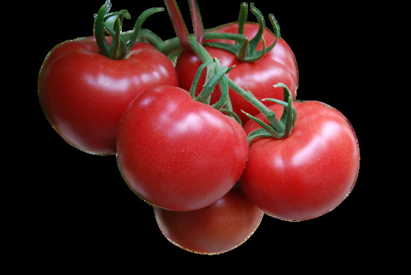 西红柿透明