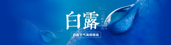 清新白露二十四節(jié)氣banner海報(bào)設(shè)計(jì)