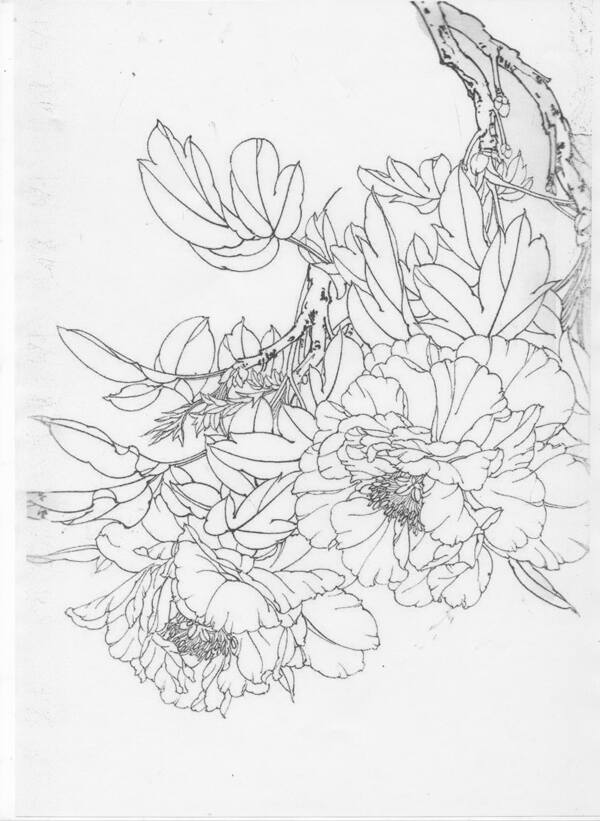 工筆白描圖片