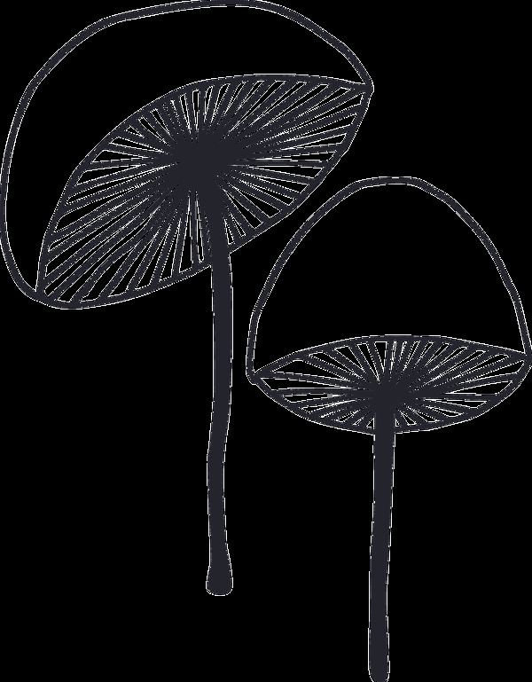 白顶蘑菇卡通透明素材