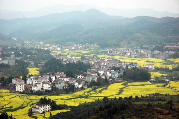 鄉(xiāng)村風(fēng)光圖片
