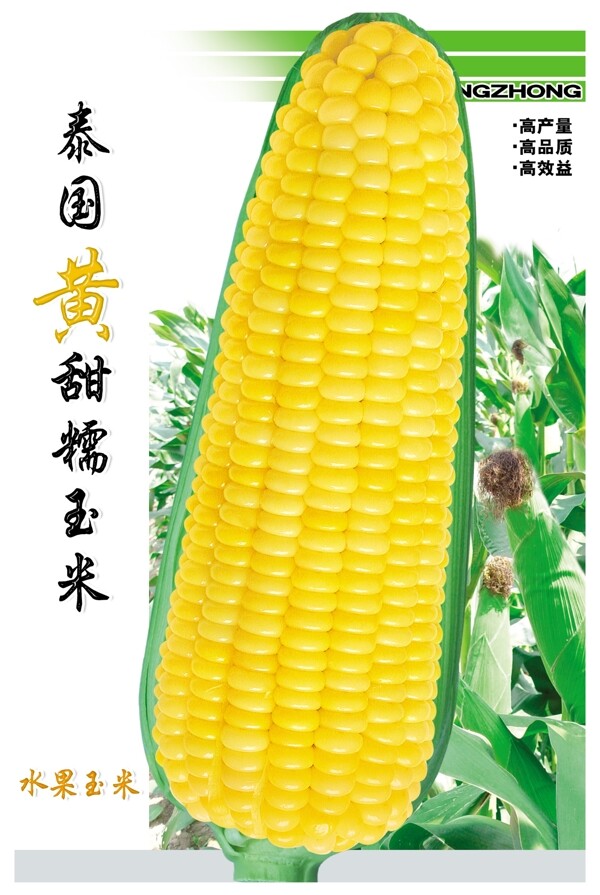 玉米包裝圖片