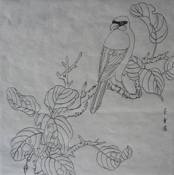 白描花鳥斗方
