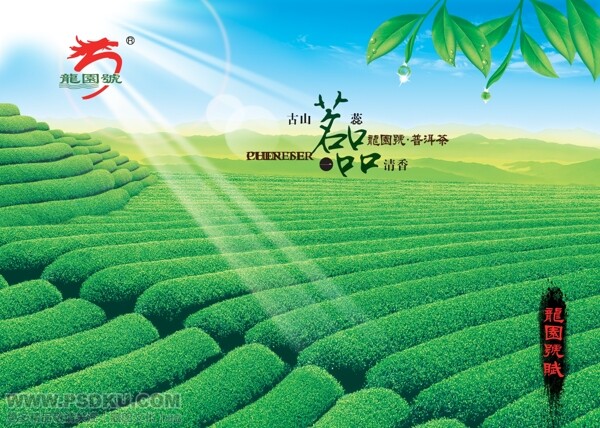 移動(dòng)蒙牛各大精典分層圖