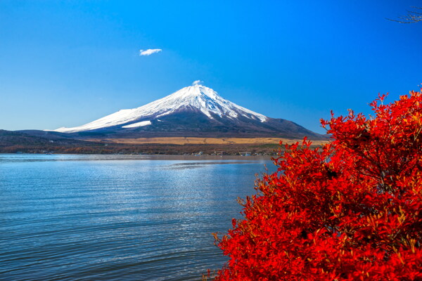 美麗的日本富士山風(fēng)景圖片