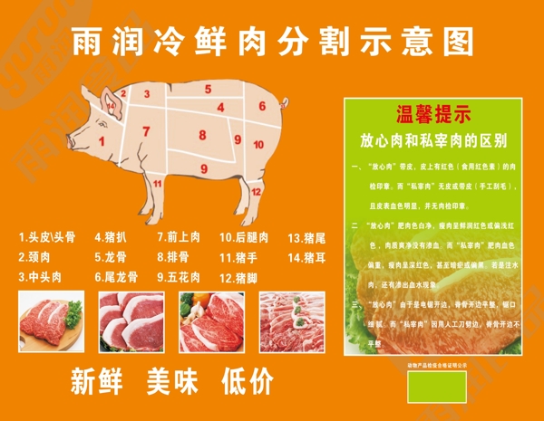 豬肉分割圖圖片