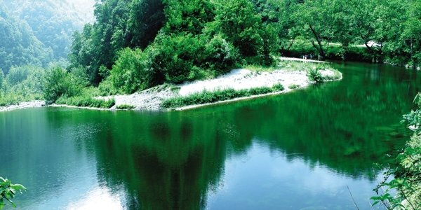 山水茶園自然風(fēng)光