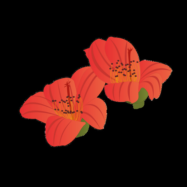 手绘木棉花元素之卡通红色植物花