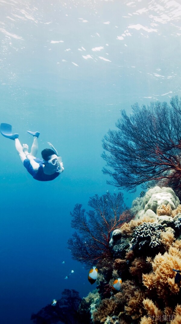 海底世界