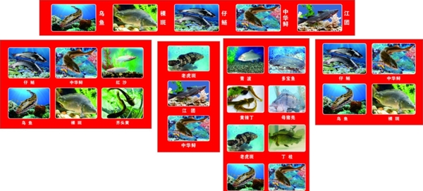 魚圖