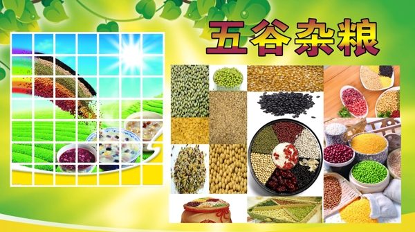 五谷雜糧素材