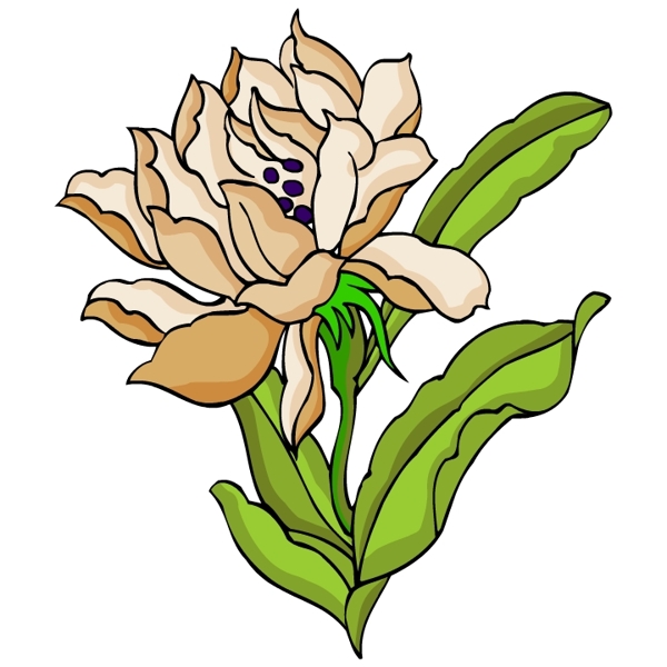 花卉古典插畫