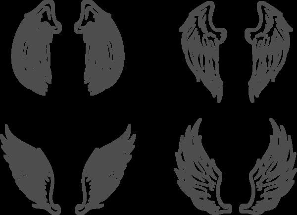 素描风格鸟类翅膀免抠png透明图层素材