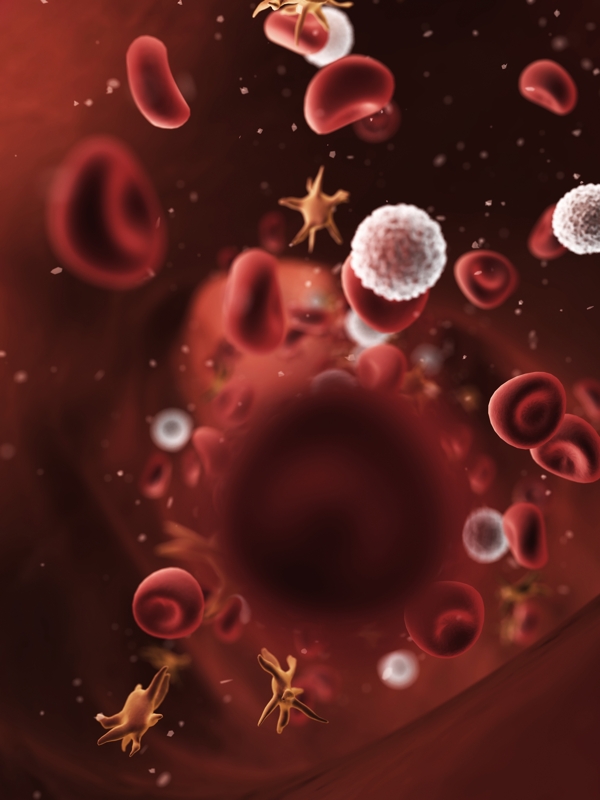 微观世界细胞血细胞图片