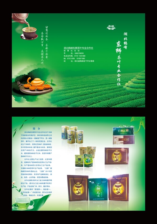 茶葉宣傳單圖片
