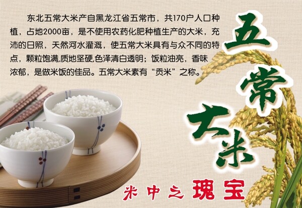 五常大米圖片