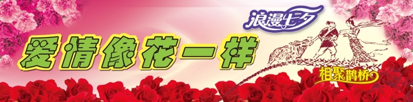 七夕情人節(jié)圖片