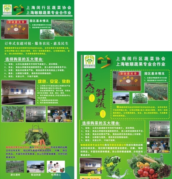 绿色蔬果图片