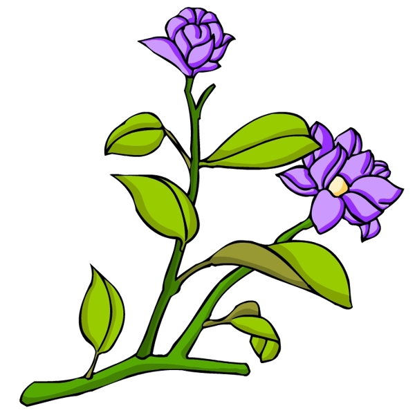 花卉古典插畫