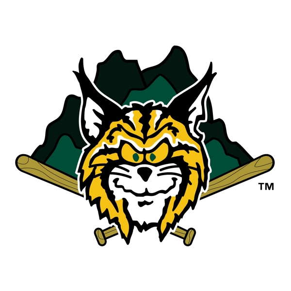 林奇堡hillcats0
