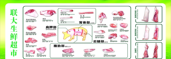 猪肉解剖全图