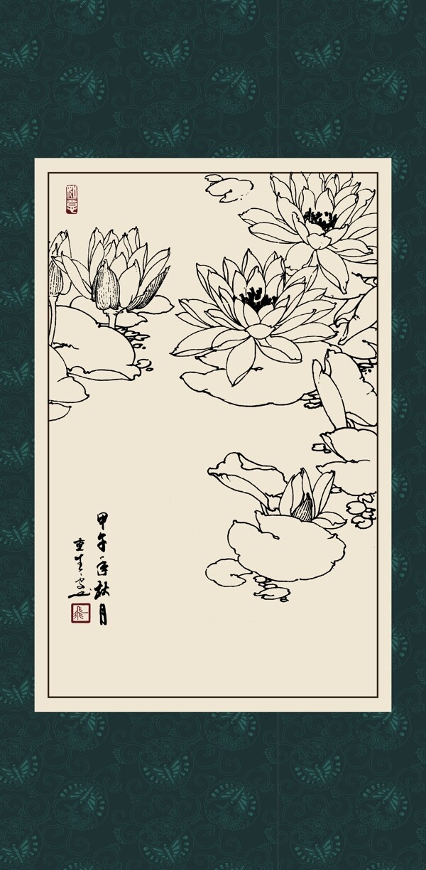 白描荷花圖片