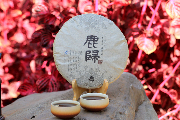 益心泉普洱茶圖片