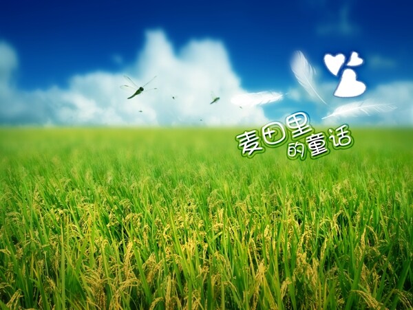 诗意旅程诗意旅程婚纱模板影楼魔法书DVD40